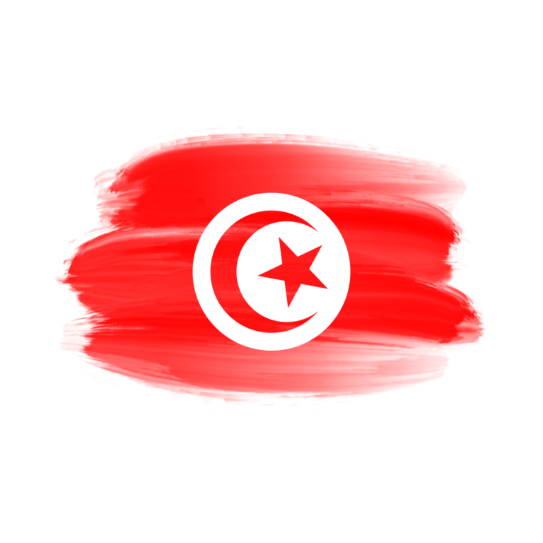 Notre représentation en Tunisie – Votre passerelle digitale vers une formation au Canada
