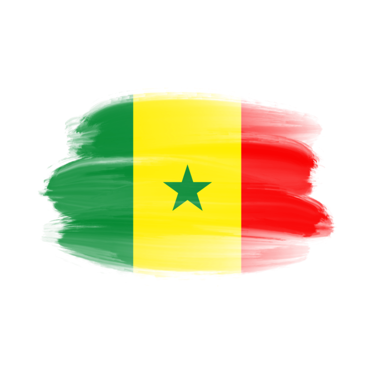 Notre représentation au Sénégal – Un accompagnement digital pour étudier au Canada